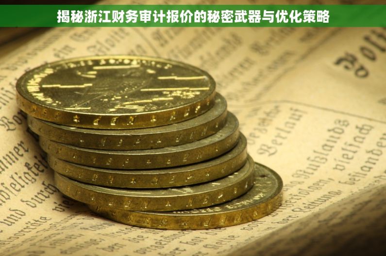 揭秘浙江财务审计报价的秘密武器与优化策略