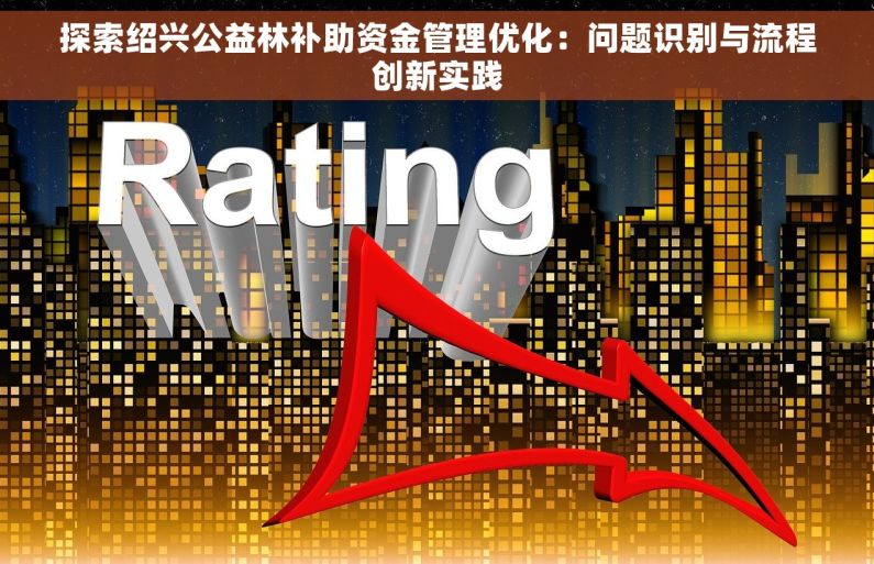 探索绍兴公益林补助资金管理优化：问题识别与流程创新实践
