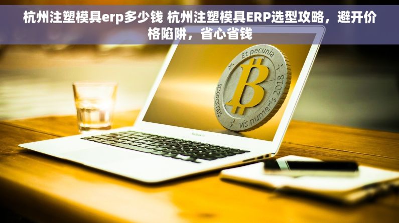 杭州注塑模具erp多少钱 杭州注塑模具ERP选型攻略，避开价格陷阱，省心省钱