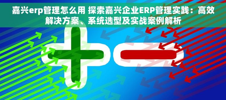 嘉兴erp管理怎么用 探索嘉兴企业ERP管理实践：高效解决方案、系统选型及实战案例解析