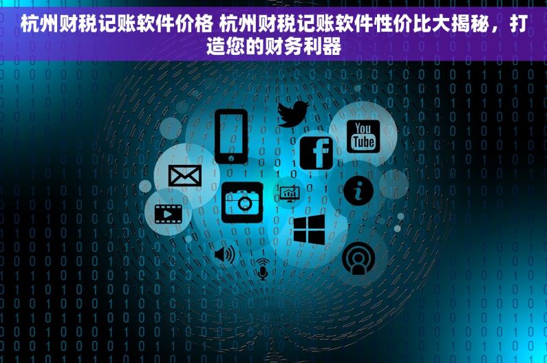 杭州财税记账软件价格 杭州财税记账软件性价比大揭秘，打造您的财务利器