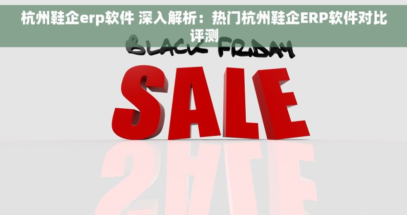 杭州鞋企erp软件 深入解析：热门杭州鞋企ERP软件对比评测