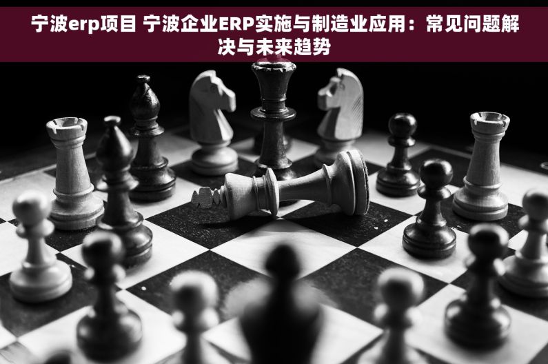 宁波erp项目 宁波企业ERP实施与制造业应用：常见问题解决与未来趋势