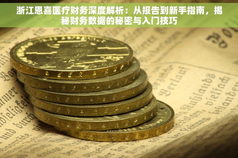 浙江恩喜医疗财务深度解析：从报告到新手指南，揭秘财务数据的秘密与入门技巧