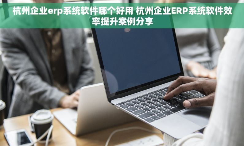 杭州企业erp系统软件哪个好用 杭州企业ERP系统软件效率提升案例分享