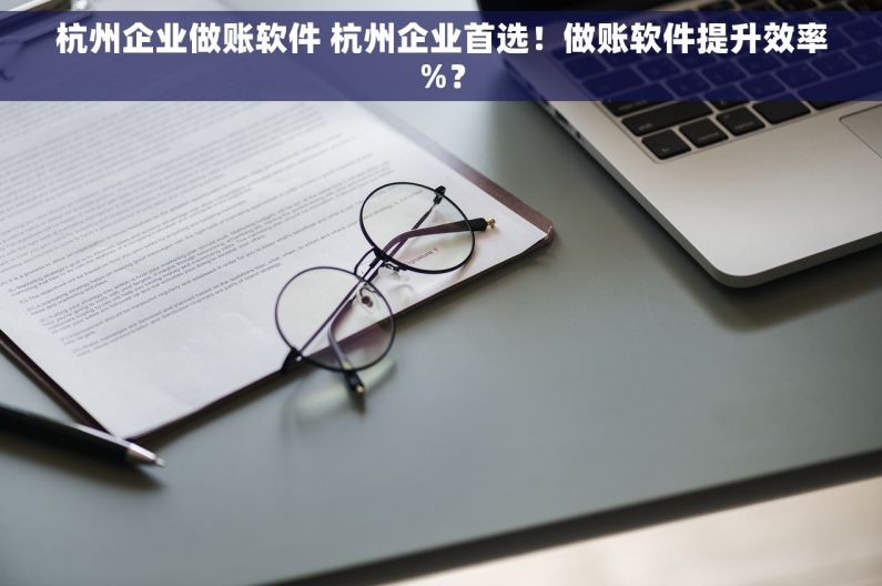 杭州企业做账软件 杭州企业首选！做账软件提升效率%？