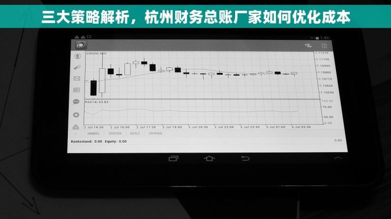 三大策略解析，杭州财务总账厂家如何优化成本