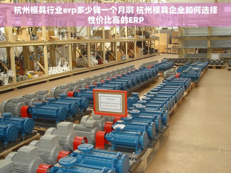 杭州模具行业erp多少钱一个月啊 杭州模具企业如何选择性价比高的ERP
