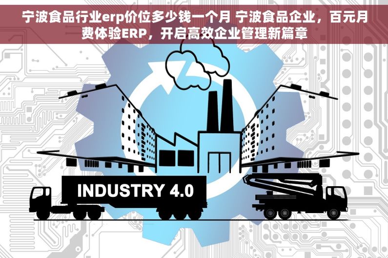 宁波食品行业erp价位多少钱一个月 宁波食品企业，百元月费体验ERP，开启高效企业管理新篇章