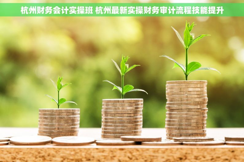 杭州财务会计实操班 杭州最新实操财务审计流程技能提升
