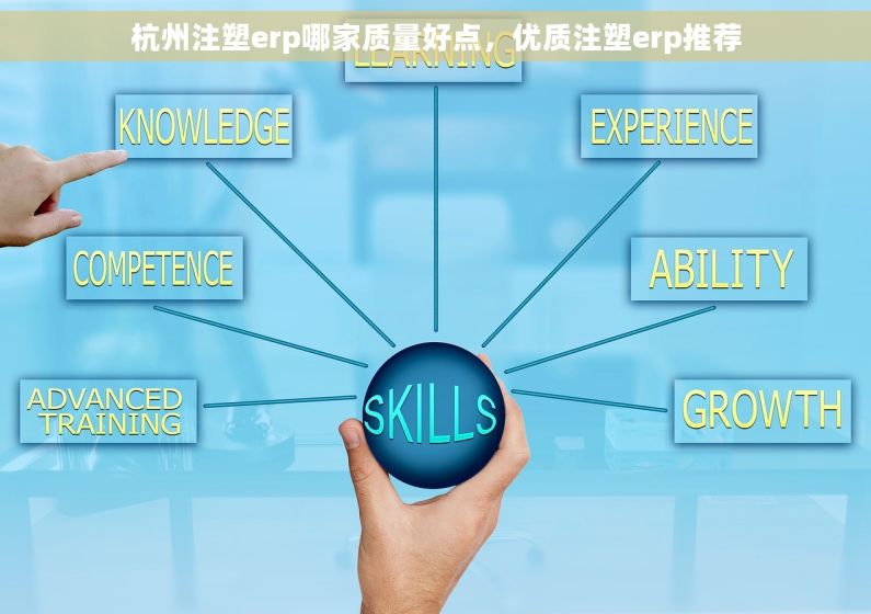 杭州注塑erp哪家质量好点，优质注塑erp推荐