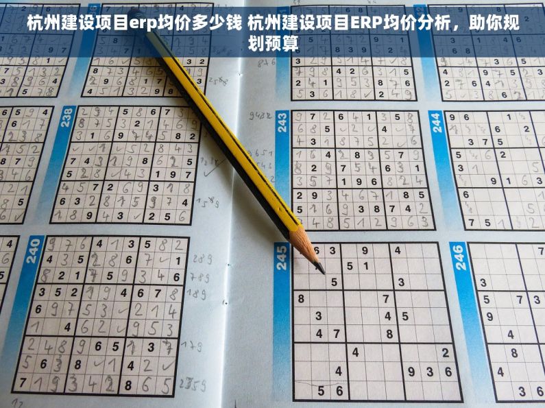 杭州建设项目erp均价多少钱 杭州建设项目ERP均价分析，助你规划预算