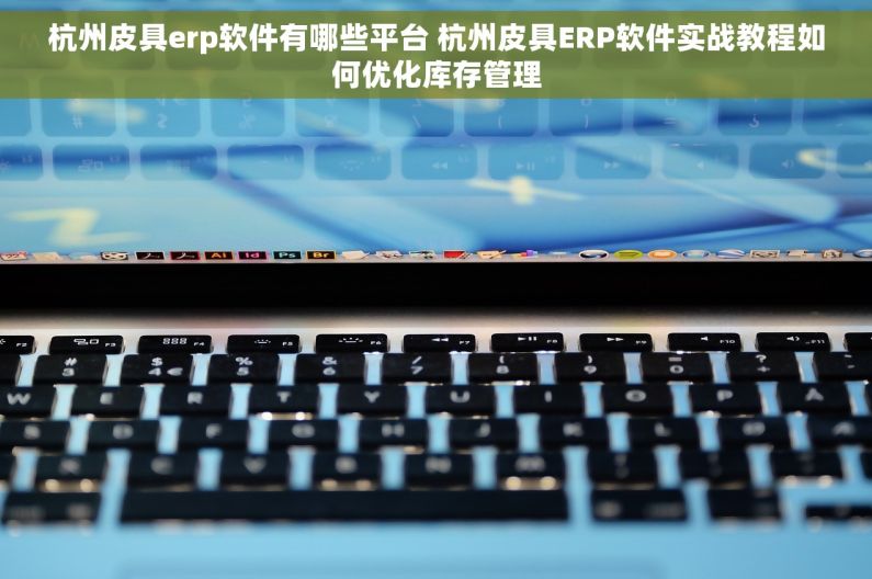 杭州皮具erp软件有哪些平台 杭州皮具ERP软件实战教程如何优化库存管理