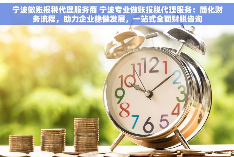 宁波做账报税代理服务商 宁波专业做账报税代理服务：简化财务流程，助力企业稳健发展，一站式全面财税咨询