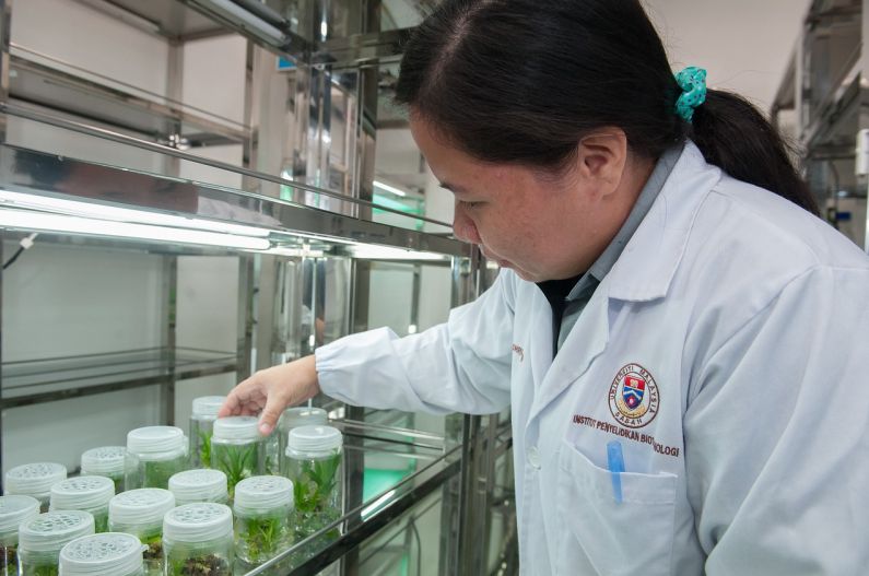 宁波erp系统灭菌柜验证服务 宁波ERP系统灭菌柜验证服务：验证方法与验证后维护支持一站式解决方案