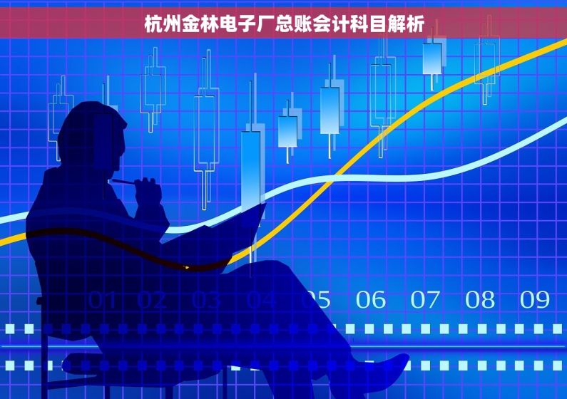 杭州金林电子厂总账会计科目解析
