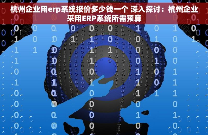 杭州企业用erp系统报价多少钱一个 深入探讨：杭州企业采用ERP系统所需预算