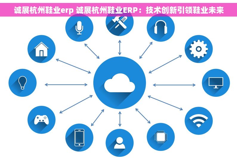 诚展杭州鞋业erp 诚展杭州鞋业ERP：技术创新引领鞋业未来