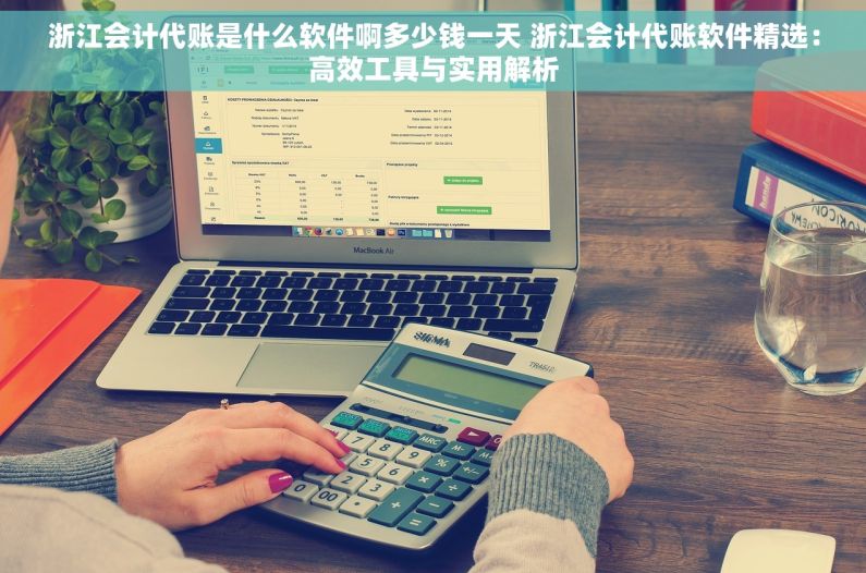 浙江会计代账是什么软件啊多少钱一天 浙江会计代账软件精选：高效工具与实用解析