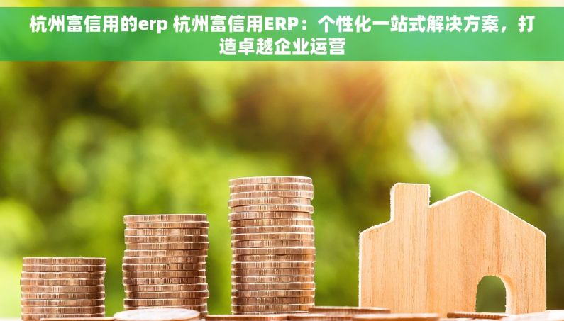 杭州富信用的erp 杭州富信用ERP：个性化一站式解决方案，打造卓越企业运营
