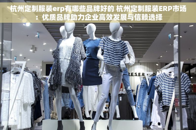 杭州定制服装erp有哪些品牌好的 杭州定制服装ERP市场：优质品牌助力企业高效发展与信赖选择