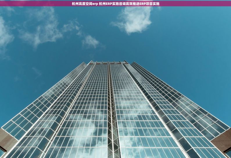 杭州高度空间erp 杭州ERP实施咨询高效推进ERP项目实施