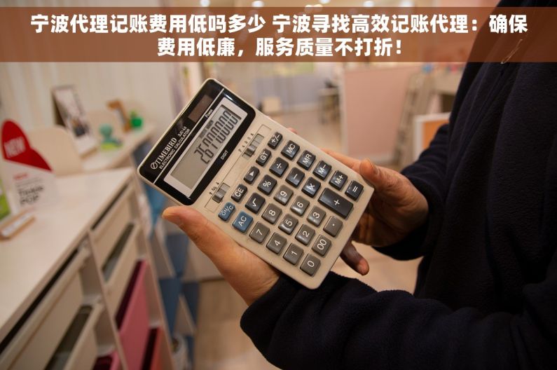 宁波代理记账费用低吗多少 宁波寻找高效记账代理：确保费用低廉，服务质量不打折！
