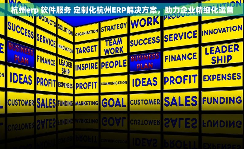 杭州erp 软件服务 定制化杭州ERP解决方案，助力企业精细化运营