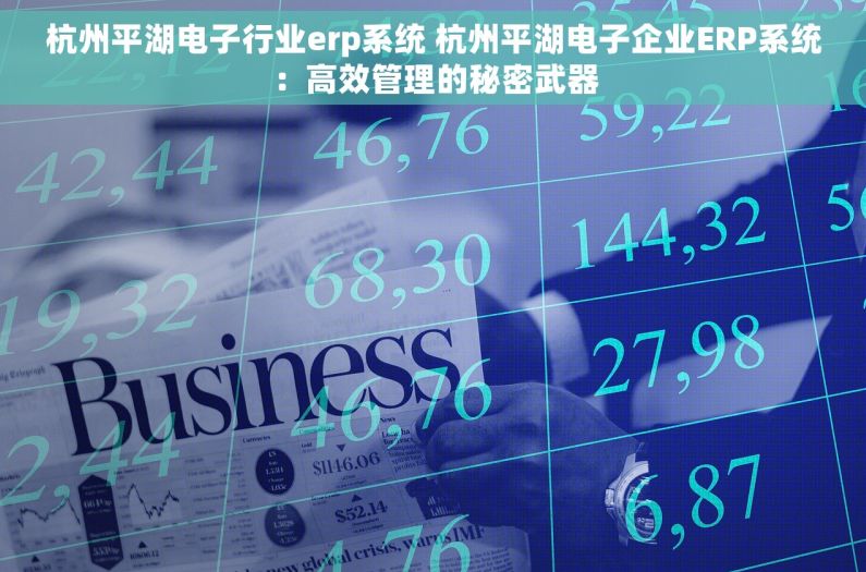 杭州平湖电子行业erp系统 杭州平湖电子企业ERP系统：高效管理的秘密武器