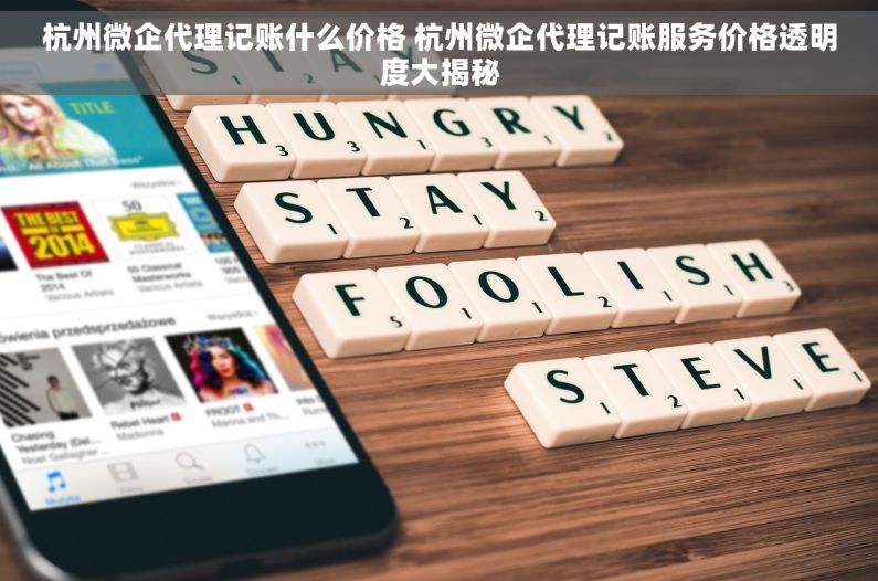 杭州微企代理记账什么价格 杭州微企代理记账服务价格透明度大揭秘