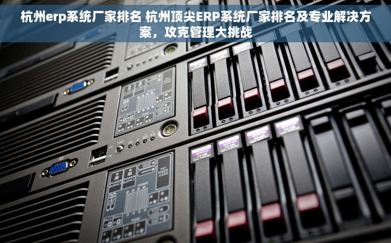 杭州erp系统厂家排名 杭州顶尖ERP系统厂家排名及专业解决方案，攻克管理大挑战