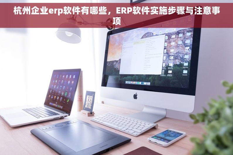 杭州企业erp软件有哪些，ERP软件实施步骤与注意事项