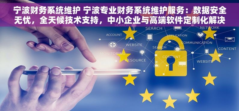 宁波财务系统维护 宁波专业财务系统维护服务：数据安全无忧，全天候技术支持，中小企业与高端软件定制化解决方案