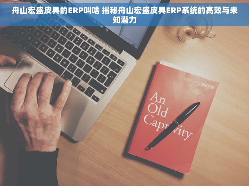 舟山宏盛皮具的ERP叫啥 揭秘舟山宏盛皮具ERP系统的高效与未知潜力