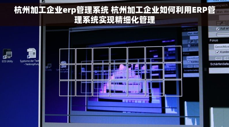 杭州加工企业erp管理系统 杭州加工企业如何利用ERP管理系统实现精细化管理