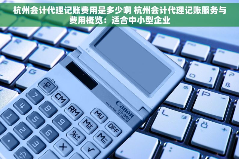 杭州会计代理记账费用是多少啊 杭州会计代理记账服务与费用概览：适合中小型企业