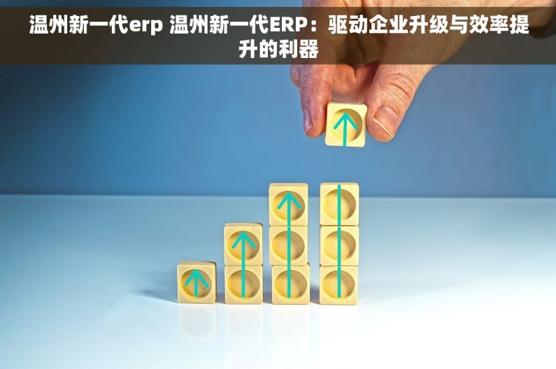 温州新一代erp 温州新一代ERP：驱动企业升级与效率提升的利器