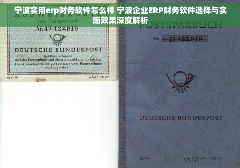 宁波实用erp财务软件怎么样 宁波企业ERP财务软件选择与实施效果深度解析