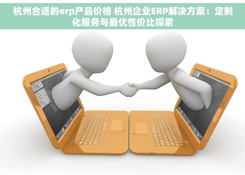 杭州合适的erp产品价格 杭州企业ERP解决方案：定制化服务与最优性价比探索