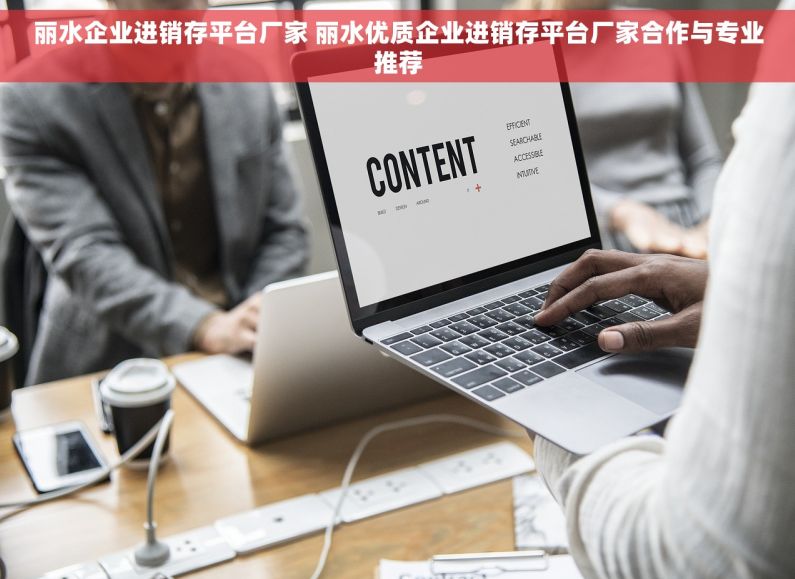丽水企业进销存平台厂家 丽水优质企业进销存平台厂家合作与专业推荐