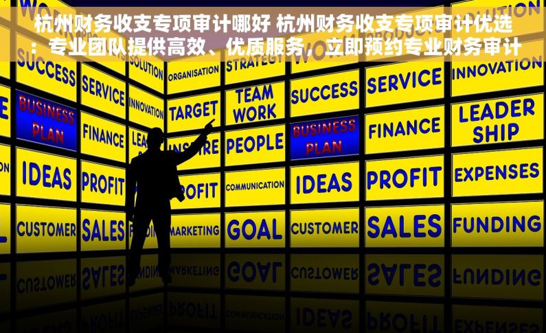 杭州财务收支专项审计哪好 杭州财务收支专项审计优选：专业团队提供高效、优质服务，立即预约专业财务审计