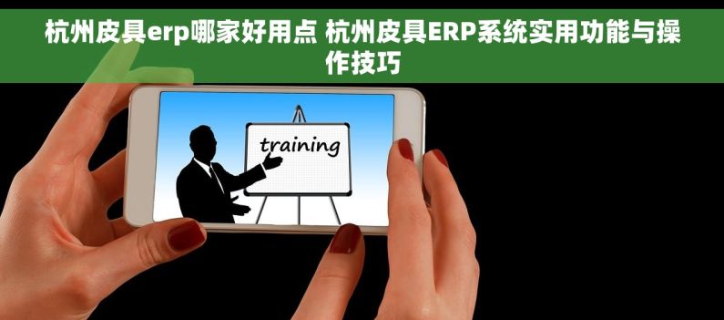 杭州皮具erp哪家好用点 杭州皮具ERP系统实用功能与操作技巧