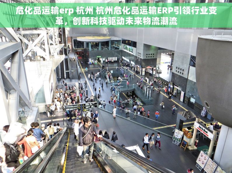 危化品运输erp 杭州 杭州危化品运输ERP引领行业变革，创新科技驱动未来物流潮流