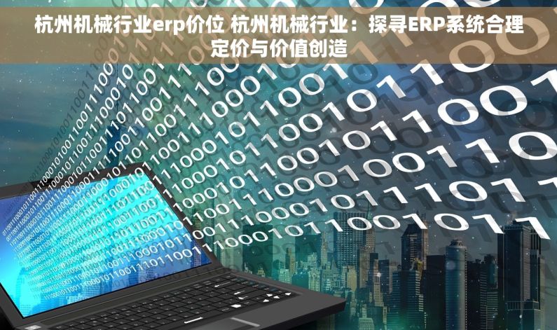 杭州机械行业erp价位 杭州机械行业：探寻ERP系统合理定价与价值创造