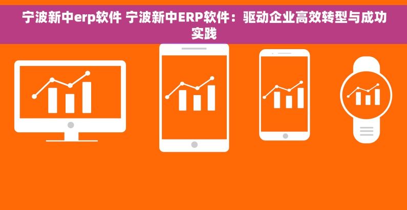 宁波新中erp软件 宁波新中ERP软件：驱动企业高效转型与成功实践