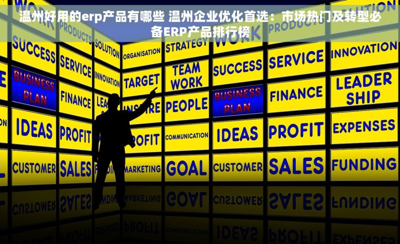 温州好用的erp产品有哪些 温州企业优化首选：市场热门及转型必备ERP产品排行榜