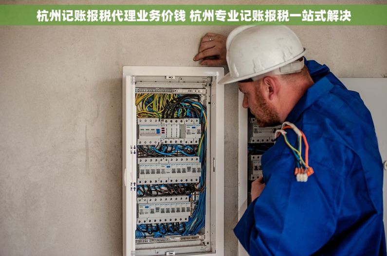 杭州记账报税代理业务价钱 杭州专业记账报税一站式解决