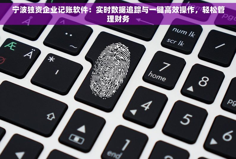 宁波独资企业记账软件：实时数据追踪与一键高效操作，轻松管理财务