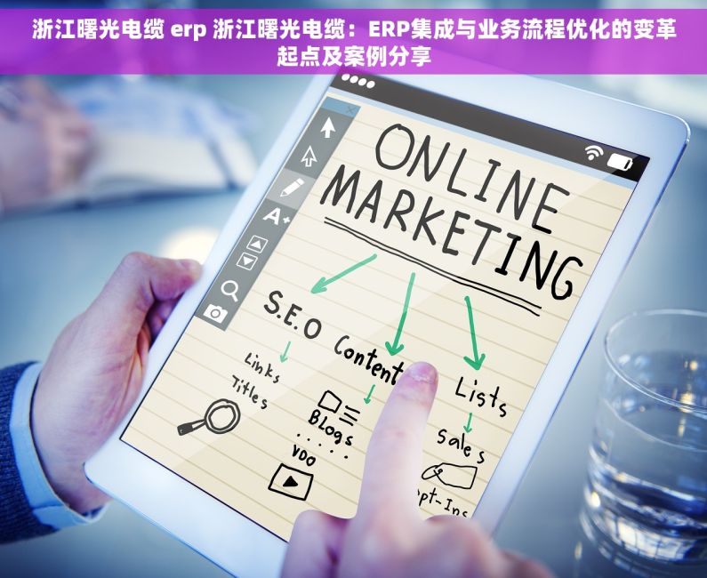 浙江曙光电缆 erp 浙江曙光电缆：ERP集成与业务流程优化的变革起点及案例分享