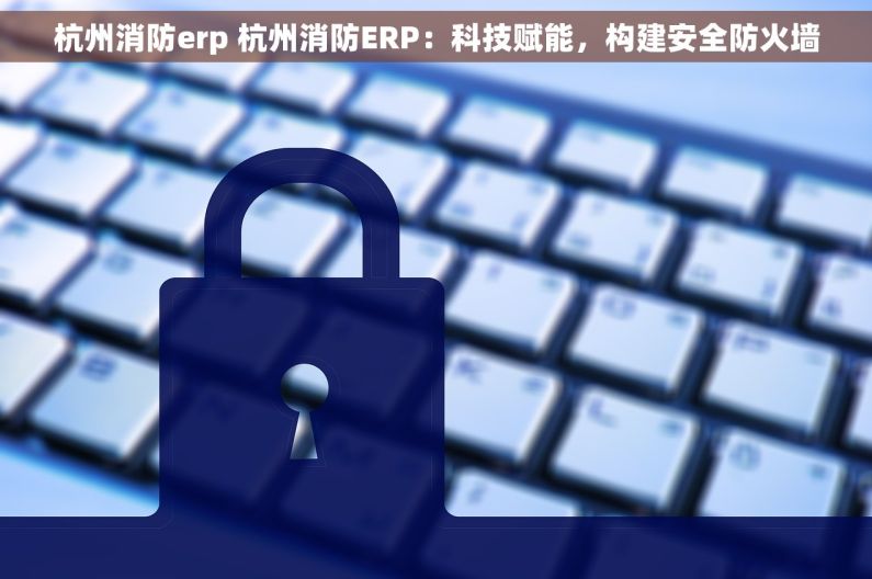 杭州消防erp 杭州消防ERP：科技赋能，构建安全防火墙